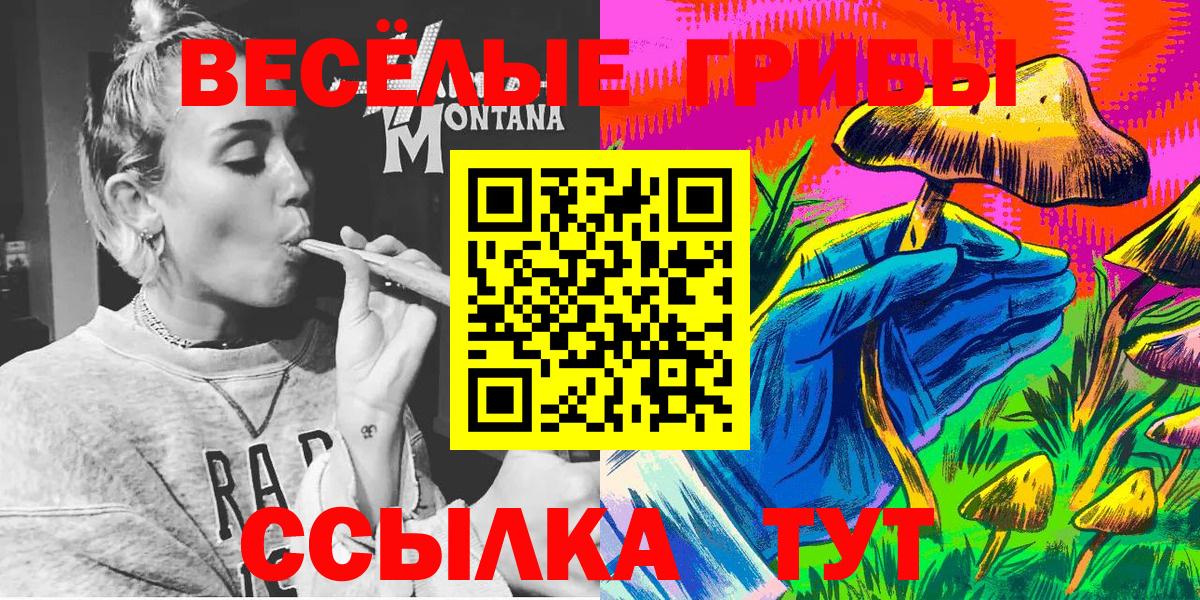 Красногорск  Галлюциногенные грибы мицелий  Вход с VPN 